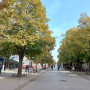 Инђија (7)